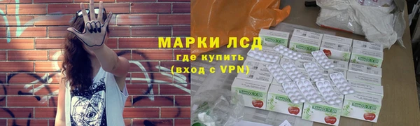 гашик Осташков
