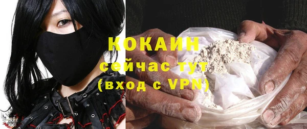 молекула духа Елизово