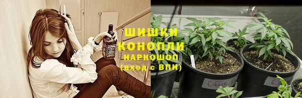 молекула духа Елизово