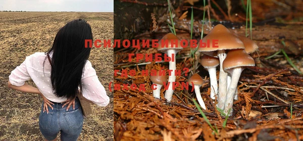 меф Осинники